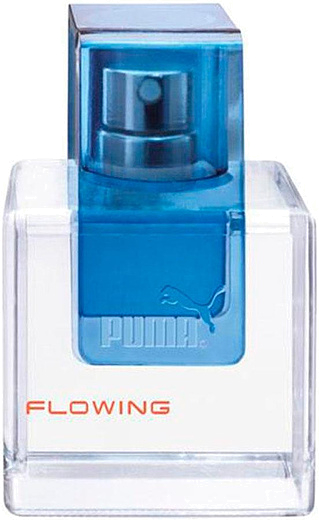 Puma Flowing Man
