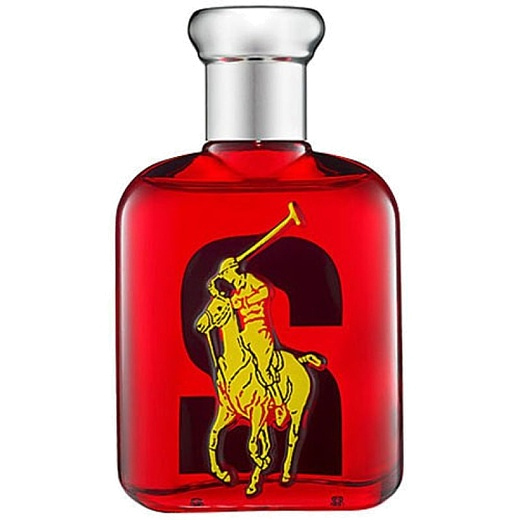 Ralph Lauren Big Pony 2