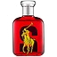 Ralph Lauren Big Pony 2