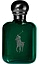 Ralph Lauren Polo Cologne Intense