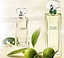 Ralph Lauren Riviera Dream Lime