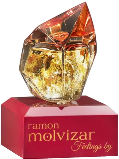 Ramon Molvizar Feelings