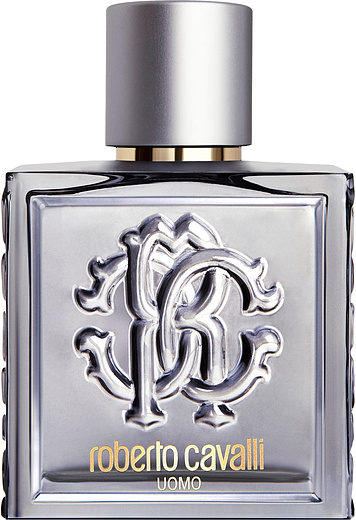 Roberto Cavalli Uomo Silver Essence