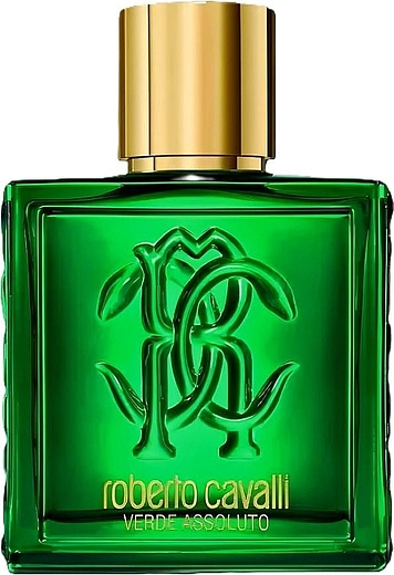 Roberto Cavalli Uomo Verde Assoluto