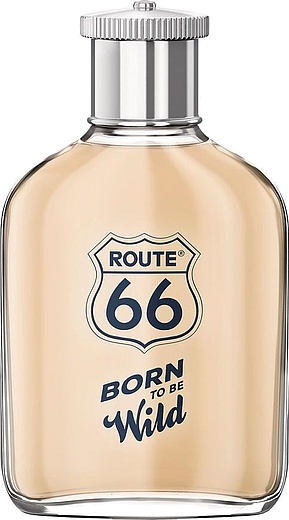 Route 66 Born To Be Wild
