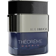 Rue Broca Theoreme Matrix