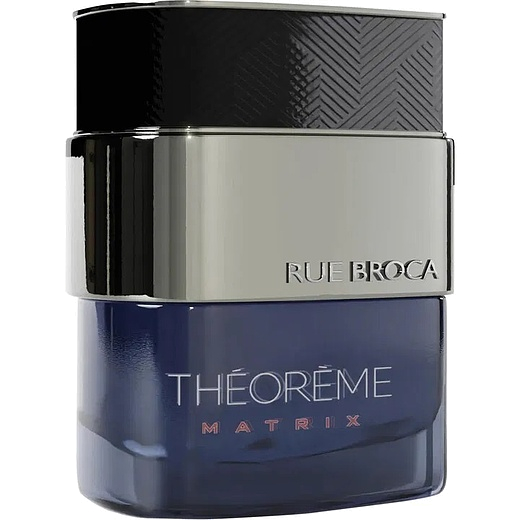 Rue Broca Theoreme Matrix