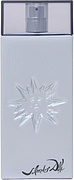 Salvador Dali Silver Sun