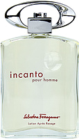 Salvatore Ferragamo Incanto Pour Homme