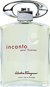 Salvatore Ferragamo Incanto Pour Homme