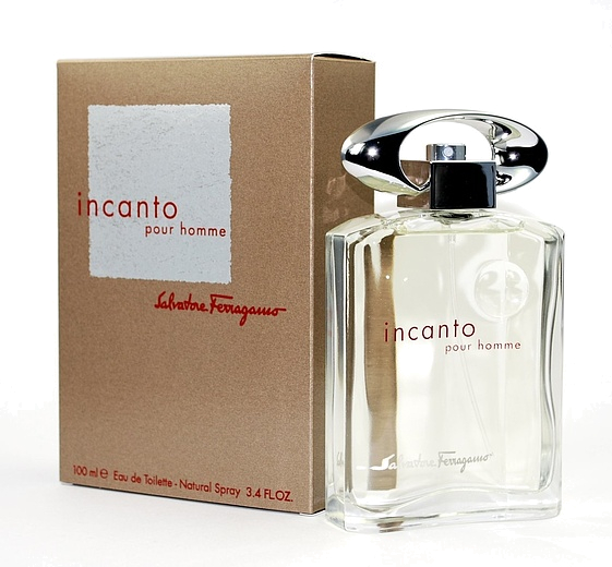Salvatore Ferragamo Incanto Pour Homme