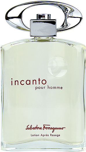 Salvatore Ferragamo Incanto Pour Homme