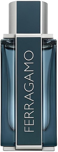 Salvatore Ferragamo Sublime Leather