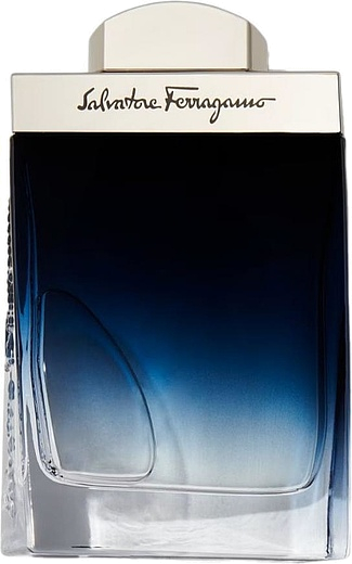 Salvatore Ferragamo Subtil Pour Homme