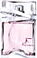 Salvatore Ferragamo F For Fascinating