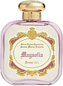 Santa Maria Novella Magnolia