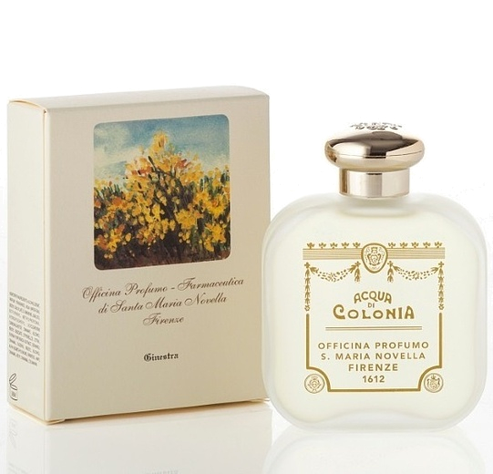 Santa Maria Novella Ginestra Broom