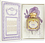 Santa Maria Novella L'iris