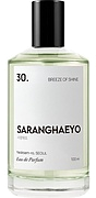 Saranghaeyo 30. Breeze Of Shine