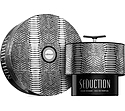 Sterling Parfums Armaf Seduction Pour Homme