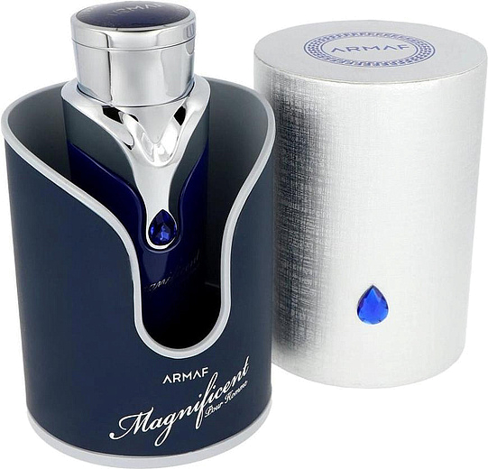 Sterling Parfums Magnificent Blue Pour Homme