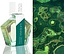 Tauer Perfumes Pentachords Verdant