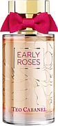 Teo Cabanel Early Roses