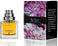 The Different Company Rose Poivree