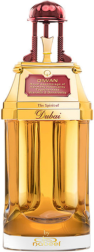 The Spirit Of Dubai Diwan