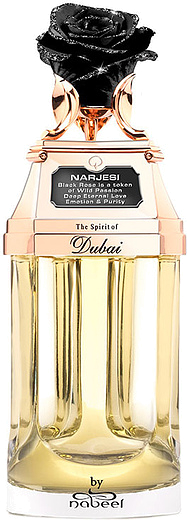 The Spirit Of Dubai Narjesi