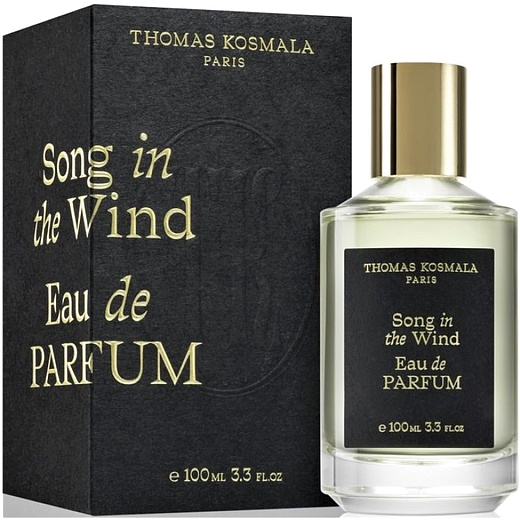 Thomas Kosmala Song In The Wind