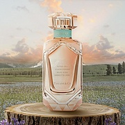 Tiffany Tiffany & Co Rose Gold