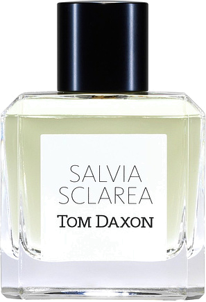 Tom Daxon Salvia Sclarea