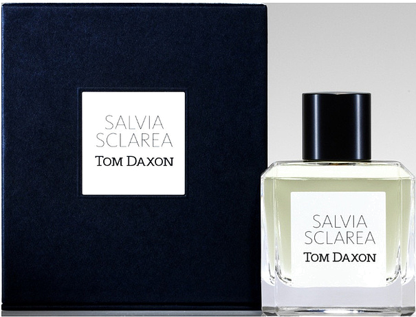 Tom Daxon Salvia Sclarea