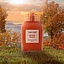 Tom Ford Bitter Peach