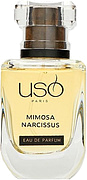 USO Paris Mimosa Narcissus