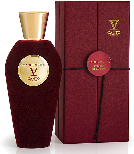 V Canto Mandragola