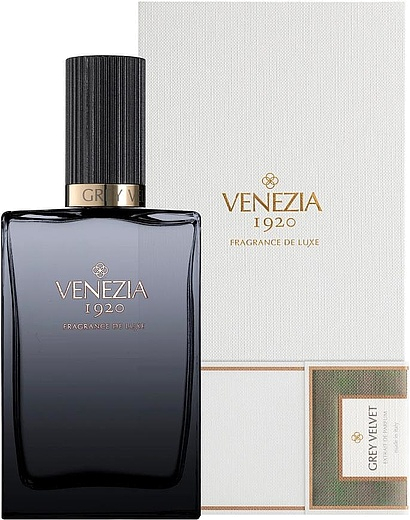 Venezia 1920 Grey Velvet
