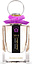 Victoria's Secret No3 Sheer Amber
