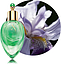 Xerjoff Iriss Murano Green