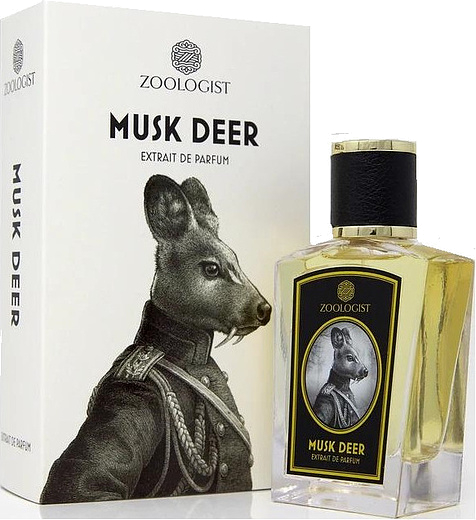 Zoologist Musk Deer