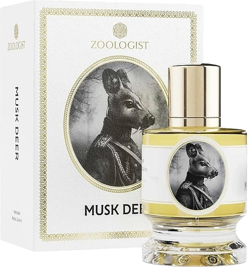 Zoologist Musk Deer