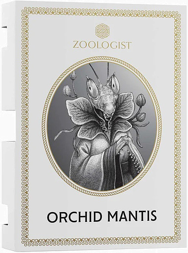 Zoologist Orchid Mantis