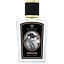 Zoologist Penguin