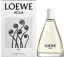 Loewe Agua 44.2