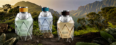 Bentley: путешествие начинается