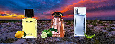 Фужерные ароматы