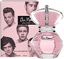 One Direction Our Moment