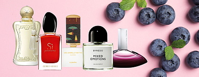 Ароматы с запахом чёрной смородины