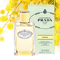 Prada Infusion de Mimosa